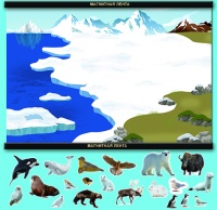 Магнитный плакат "Животные севера"
