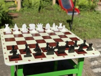 Стол развивающий игровой «Шахматы и шашки»